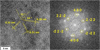 Effects of Fe self-ion irradiation on a low carbon MX-ODS steel at 550°C